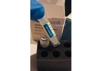 انزیم CDNA کمپانی JENETBIO انزیم CDNA کمپانی JENETBIO شامل 1 20X