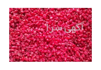 فروش عمده زرشک با کیفیت + استعلام قیمت روز در مشهد برای خرید عمده زرشک