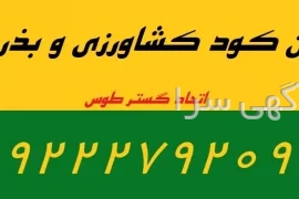 آگهی های خدمات بازرگانی - سایر - خراسان رضوی
