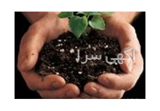 فروش پرلیت نقش پرلیت در کود پرلیت منبسط شده Perlite Expanded زمین کاو