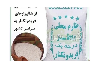 پخش عمده برنج طارم فریدونکنار اصل پررونق