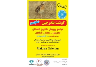 قیمت روز بلدرچین ، تخم نطفه دار بلدرچین ، گوشت بلدرچین