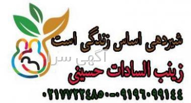 بادکنک تعیین جنسیت پسر