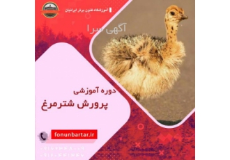 دوره آموزش پرورش شترمرغ با مدرک