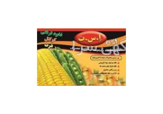 ذرت نخودفرنگی مخلوط شرکت مه درکاسپین با بیش از ده سال تجربه د رتولید
