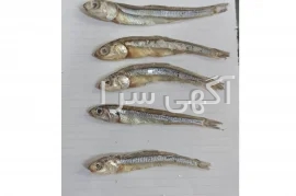 آگهی های خدمات صنعتی و کشاورزی - بندرعباس