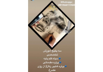 آموزش نقاشی مجازی تخصصی ( آموزش نقاشی سیاه قلم ) آموزشگاه نقاش باشی