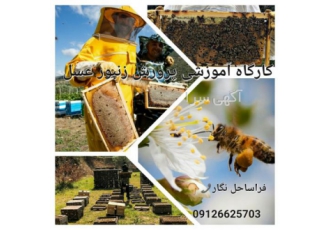 دوره آموزشی زنبورداری و پرورش زنبور عسل کارگاه آموزش عملی پرورش زنبور