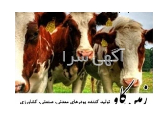 فروش بنتونیت و خواص بنتونیت در خوراک دام (Bentonite)