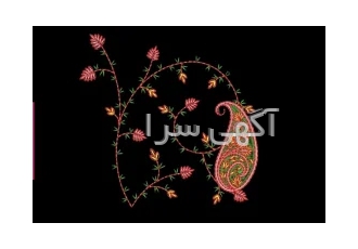 آموزش نرم افزار گلدوزی ویلکام بصورت کاملا تخصصی و حرفه ای