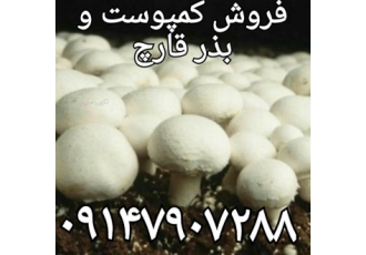 پرورش قارچ فروش کمپوست قارچ بذر قارچ خرید کمپوست خرید کمپوست فروش