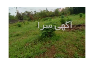فروش زمین در عروس مازندران رامسر روبروی برج آفرینش خیابان عباس مفرد
