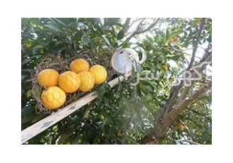 میوه چین میوه کن دستی راحت و کارآمد
