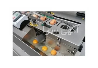 خط فراوری تخم مرغ شستشو تخم مرغ شکستن تخم مرغ سپراتور تخم مرغ خط