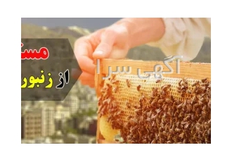 عسل طبیعی مستقیم از زنبوردار در یزد اگه میخوای عسل طبیعی رو با قیمت