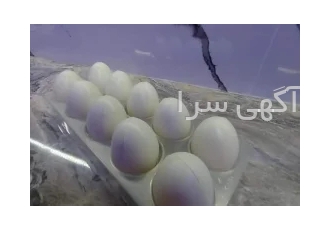 فروش تخم مرغ پلاستیکی در اسلامشهر فروش تخم مرغ پلاستیکی زیر قیمت بازار