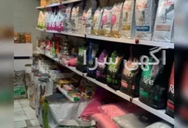 قلاده سگ دیجی کالا