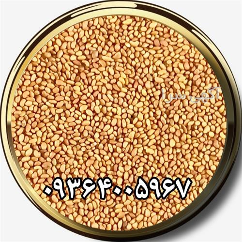 آگهی های بذر و نهال - زرین شهر