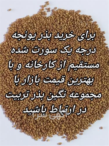 آگهی های بذر و نهال - تربت حیدریه