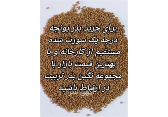 فروش بذر یونجه درجه یک به سراسر کشور در تربت حیدریه با فروش حضوری