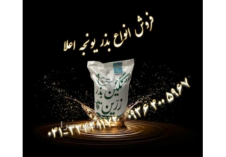 فروش بذر یونجه تضمینی - پایه بلند