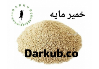 فروش خمیر مایه