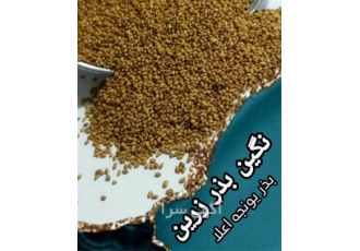 فروش بذر یونجه ، بذر علوفه