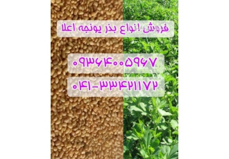 فروشگاه بذر - فروش بذر یونجه اصیل در ارقام مختلف