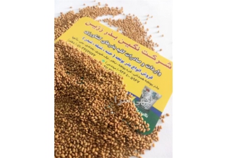 قیمت فروش بذر یونجه ، بدون واسطه