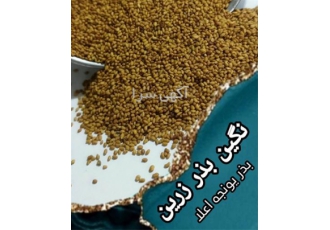 فروش بذر یونجه در ارقام متنوع در رامشیر فروش بذر یونجه پایه بلند بدون