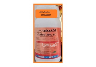 سم اکتیفو حشره کش جدید عرضه حشره کش اکتیفو در شیراز فروش سم اکتیفو