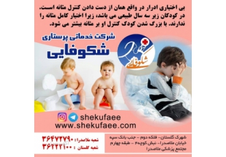 شرکت خدمات شکوفایی