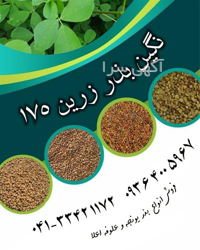 آگهی های بذر و نهال - فیروزکوه