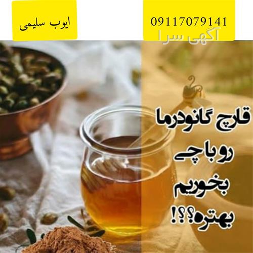آگهی های تولید مواد غذایی - مهاباد