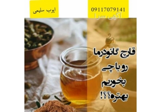 فروش گانودرما ، فروش قهوه گانودرما ، قارچ گانودرما