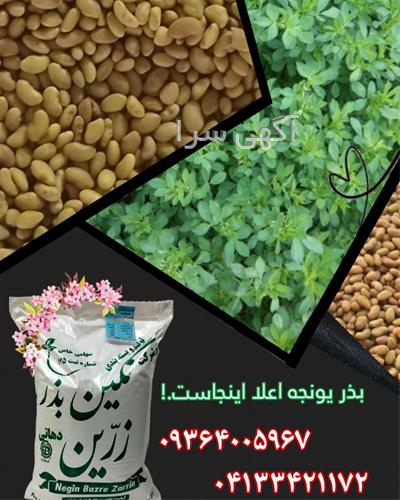 آگهی های بذر و نهال - ابهر