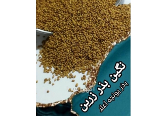 فروش بذر یونجه بدون سس و ناخالصی در رامهرمز تولید و فروش بذر یونجه بدون