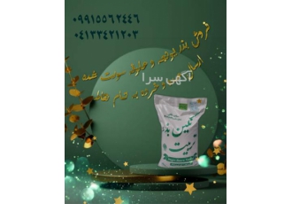 فروش بذر یونجه پایه بلند ، عرضه یونجه پایه بلند