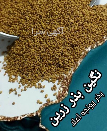 آگهی های بذر و نهال - سمیرم