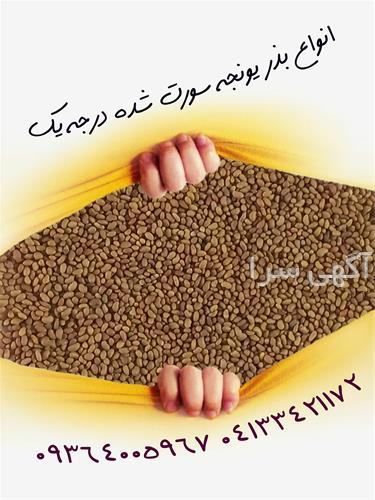 آگهی های بذر و نهال - سمیرم
