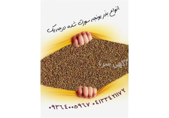 قیمت بذر یونجه و فروش بذر یونجه، قیمت بذر علوفه