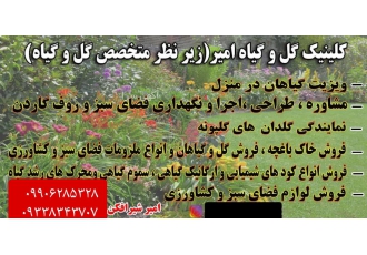 خاک باغچه و خاک ترکیبی امیر