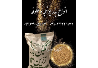 قیمت بذر یونجه پایه بلند ، فروش بذر یونجه