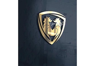 Creating and designing    specialized and pro
