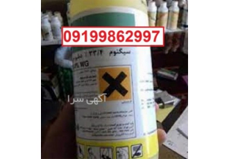توزیع قارچ کش سیگنوم پر فروش اصل