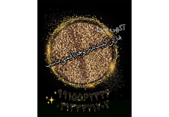 فروش بذر یونجه پایه بلند درجه 1 با کیفیت مرغوب