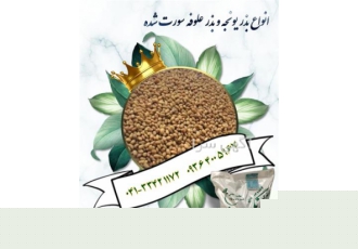 فروش بذر قره یونجه بذر یونجه همدانی پایه بلند فروش بذر قره یونجه دیمی