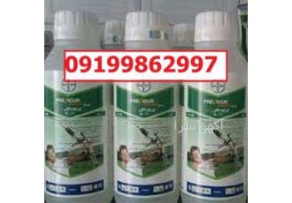 قارچ کش پریکور اصل