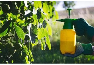 توزیع قارچ کش آکورد در تهران توزیع قارچ کش آکورد دارای ماده موثره