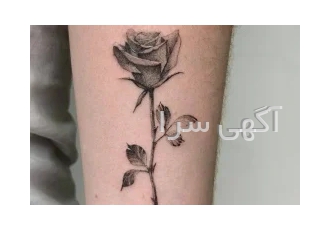 انجام خدمات تتوی بدن برای بانوان